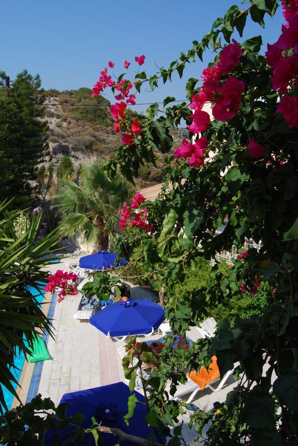 Artemis Studios Faliraki Exterior photo
